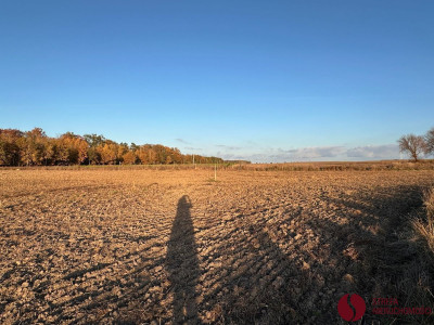 Na sprzedaż działka budowlana - Kaźmierz -
wielkopolskie Zdjęcie nr 10
