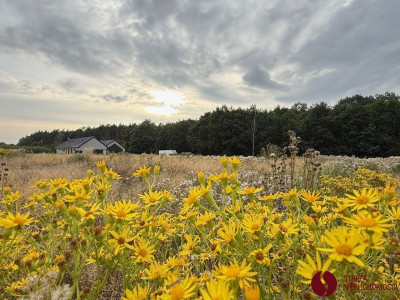 Na sprzedaż działka budowlana - Kaźmierz -
wielkopolskie Zdjęcie nr 7