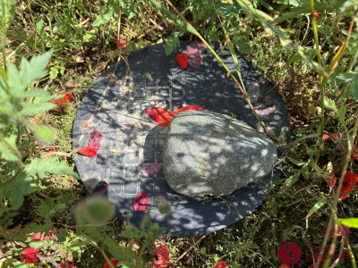 Na sprzedaż działka budowlana - Gałowo -
wielkopolskie Zdjęcie nr 3