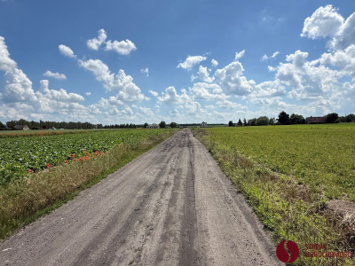 Na sprzedaż działka budowlana - Gałowo -
wielkopolskie Zdjęcie nr 7