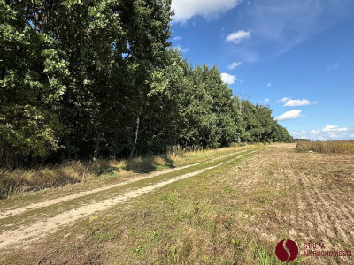 Na sprzedaż działka budowlana - Kaźmierz -
wielkopolskie Zdjęcie nr 4