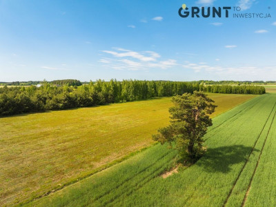 Na sprzedaż działka budowlana - Żanecin -
mazowieckie Zdjęcie nr 4