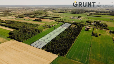 Na sprzedaż działka budowlana - Mielnik -
podlaskie Zdjęcie nr 8