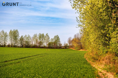 Na sprzedaż działka budowlana - Rędziny -
śląskie Zdjęcie nr 8