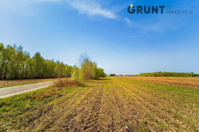 Na sprzedaż działka budowlana - Skierniewice -
łódzkie Zdjęcie nr 7