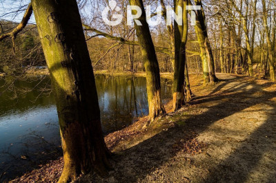 Na sprzedaż działka budowlana - Radomsko -
łódzkie Zdjęcie nr 13