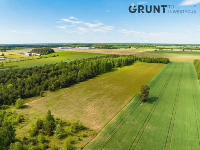 Na sprzedaż działka budowlana - Drohiczyn -
podlaskie Zdjęcie nr 15