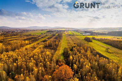 Na sprzedaż działka budowlana - Zagnańsk -
świętokrzyskie Zdjęcie nr 3