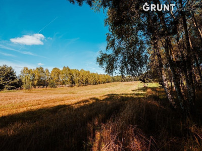 Na sprzedaż działka budowlana - Borowa -
śląskie Zdjęcie nr 8