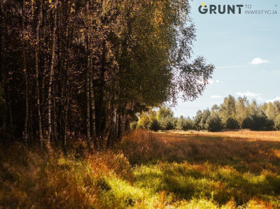 Na sprzedaż działka budowlana - Borowa -
śląskie Zdjęcie nr 9