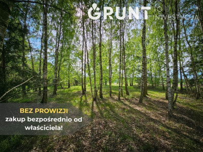 Na sprzedaż działka budowlana - Pabianice -
łódzkie Zdjęcie nr 11