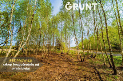 Na sprzedaż działka budowlana - Łowicz -
łódzkie Zdjęcie nr 13