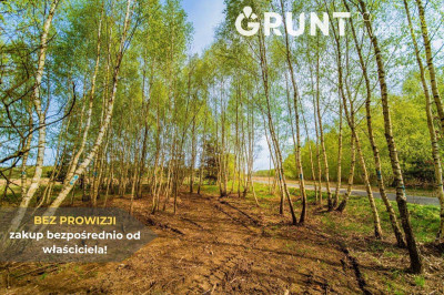 Na sprzedaż działka budowlana - Łyszkowice -
łódzkie Zdjęcie nr 12