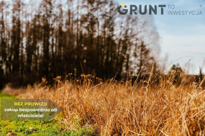 Na sprzedaż działka budowlana - Działoszyn -
łódzkie Zdjęcie nr 8