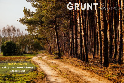 Na sprzedaż działka budowlana - Szczerców -
łódzkie Zdjęcie nr 7