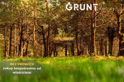 Na sprzedaż działka budowlana - Klucze -
dolnośląskie Zdjęcie nr 8