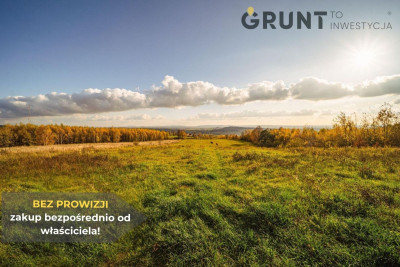 Na sprzedaż działka budowlana - Zagnańsk -
świętokrzyskie Zdjęcie nr 7