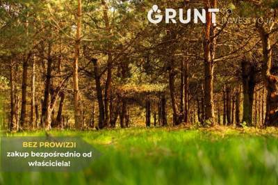 Na sprzedaż działka budowlana - Siewierz -
śląskie Zdjęcie nr 7