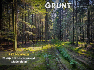 Na sprzedaż działka budowlana - Piekoszów -
świętokrzyskie Zdjęcie nr 11