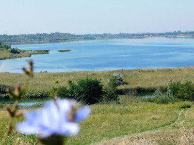Na sprzedaż działka budowlana - Tarnobrzeg -
podkarpackie Zdjęcie nr 8