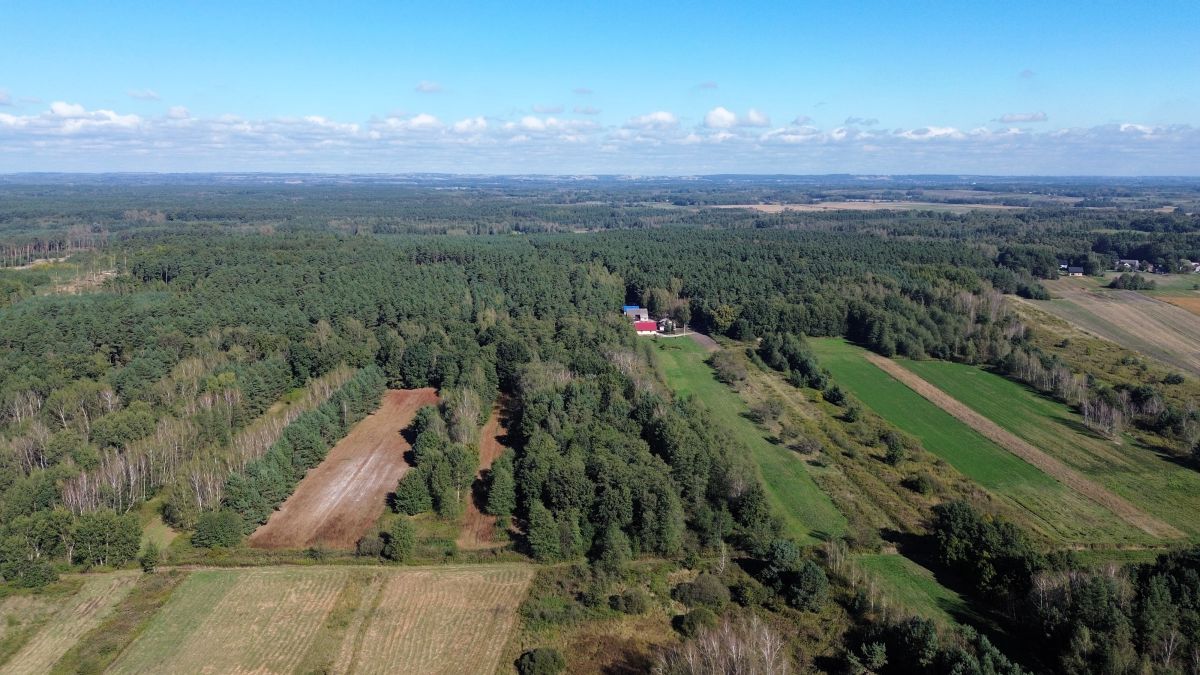 Na sprzedaż działka rolna - Nowy Korczyn -
świętokrzyskie Zdjęcie nr 1
