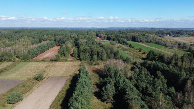 Na sprzedaż działka rolna - Nowy Korczyn -
świętokrzyskie Zdjęcie nr 4