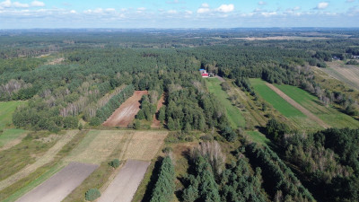 Na sprzedaż działka rolna - Nowy Korczyn -
świętokrzyskie Zdjęcie nr 5