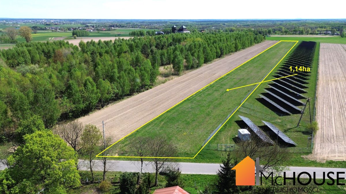 Na sprzedaż działka rolna - Grzybów -
świętokrzyskie Zdjęcie nr 1