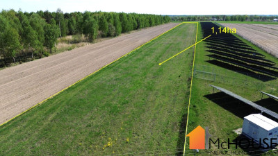 Na sprzedaż działka rolna - Grzybów -
świętokrzyskie Zdjęcie nr 2