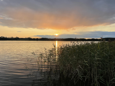 Twój własny kawałek Mazur! ???????? -
Warmińsko Mazurskie Zdjęcie nr 5