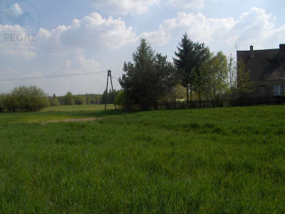 Na sprzedaż działka rolna - Nienawiszcz -
wielkopolskie Zdjęcie nr 3