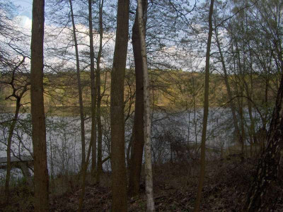 Na sprzedaż działka rolna - Nienawiszcz -
wielkopolskie Zdjęcie nr 6