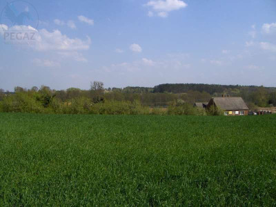 Na sprzedaż działka rolna - Nienawiszcz -
wielkopolskie Zdjęcie nr 7
