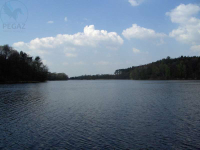 Na sprzedaż działka rolna - Nienawiszcz -
wielkopolskie Zdjęcie nr 8