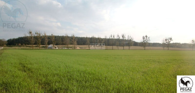 Na sprzedaż działka inwestycyjna - Milcz - wielkopolskie