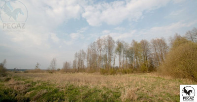 Na sprzedaż działka rolna - Milcz - wielkopolskie