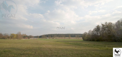 Na sprzedaż działka rolna - Milcz -
wielkopolskie Zdjęcie nr 7