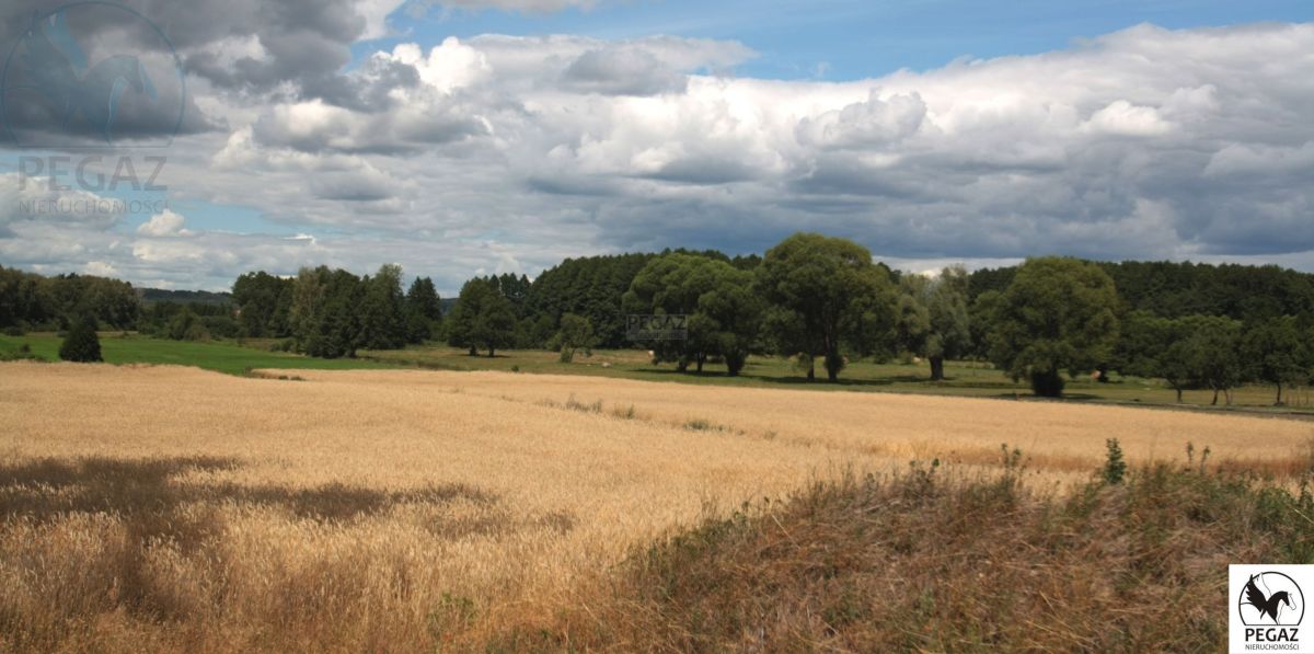 Na sprzedaż działka rolna - Milcz -
wielkopolskie Zdjęcie nr 1