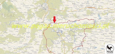 Na sprzedaż działka rolna - Milcz -
wielkopolskie Zdjęcie nr 3