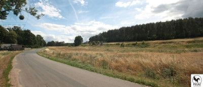 Na sprzedaż działka rolna - Milcz -
wielkopolskie Zdjęcie nr 9