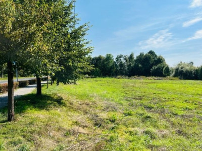 Na sprzedaż działka usługowa - Sieraków -
wielkopolskie Zdjęcie nr 2