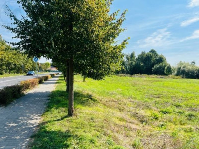 Na sprzedaż działka usługowa - Sieraków -
wielkopolskie Zdjęcie nr 3