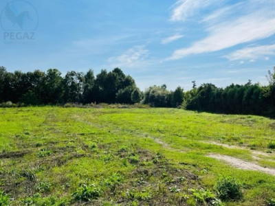 Na sprzedaż działka usługowa - Sieraków -
wielkopolskie Zdjęcie nr 4