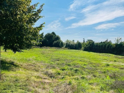Na sprzedaż działka usługowa - Sieraków -
wielkopolskie Zdjęcie nr 5