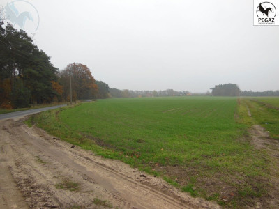 Na sprzedaż działka rolna - Lechlin -
wielkopolskie Zdjęcie nr 3