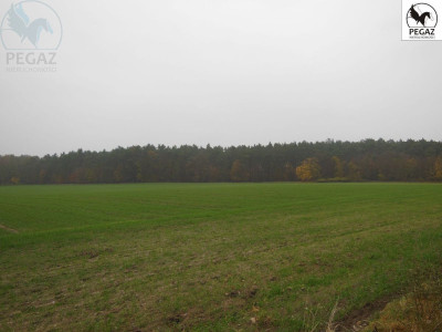 Na sprzedaż działka rolna - Lechlin -
wielkopolskie Zdjęcie nr 4