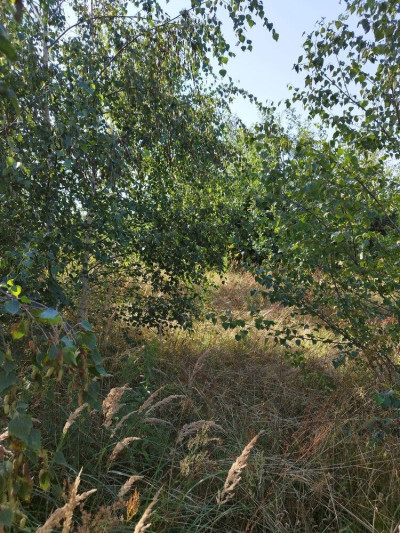 Na sprzedaż działka budowlana - Lubikowo -
lubuskie Zdjęcie nr 8