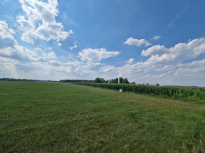 Na sprzedaż działka rolna - Zborowo -
wielkopolskie Zdjęcie nr 3