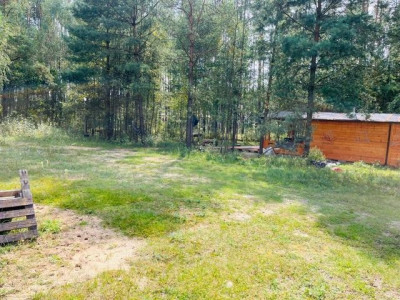 Na sprzedaż działka rekreacyjna - Węgielnia -
wielkopolskie Zdjęcie nr 12