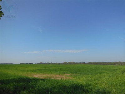 Na sprzedaż działka budowlana - Jankowice -
wielkopolskie